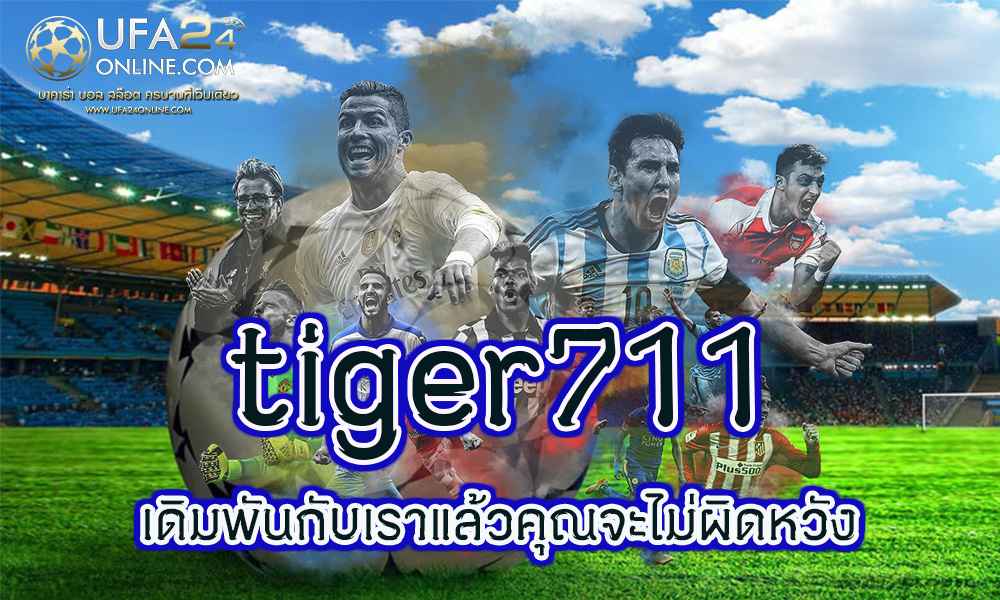 tiger711